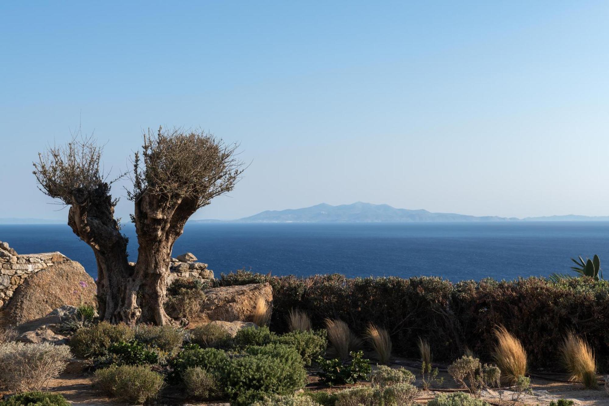 Villa Ava Mykonos Mykonos Town Extérieur photo